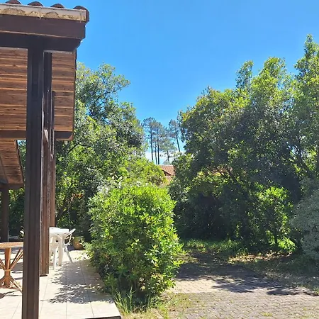 Casa de Férias Jolie Maison Landaise Proche De La Messanges (Landes)