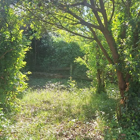 Jolie Maison Landaise Proche De La Messanges (Landes)